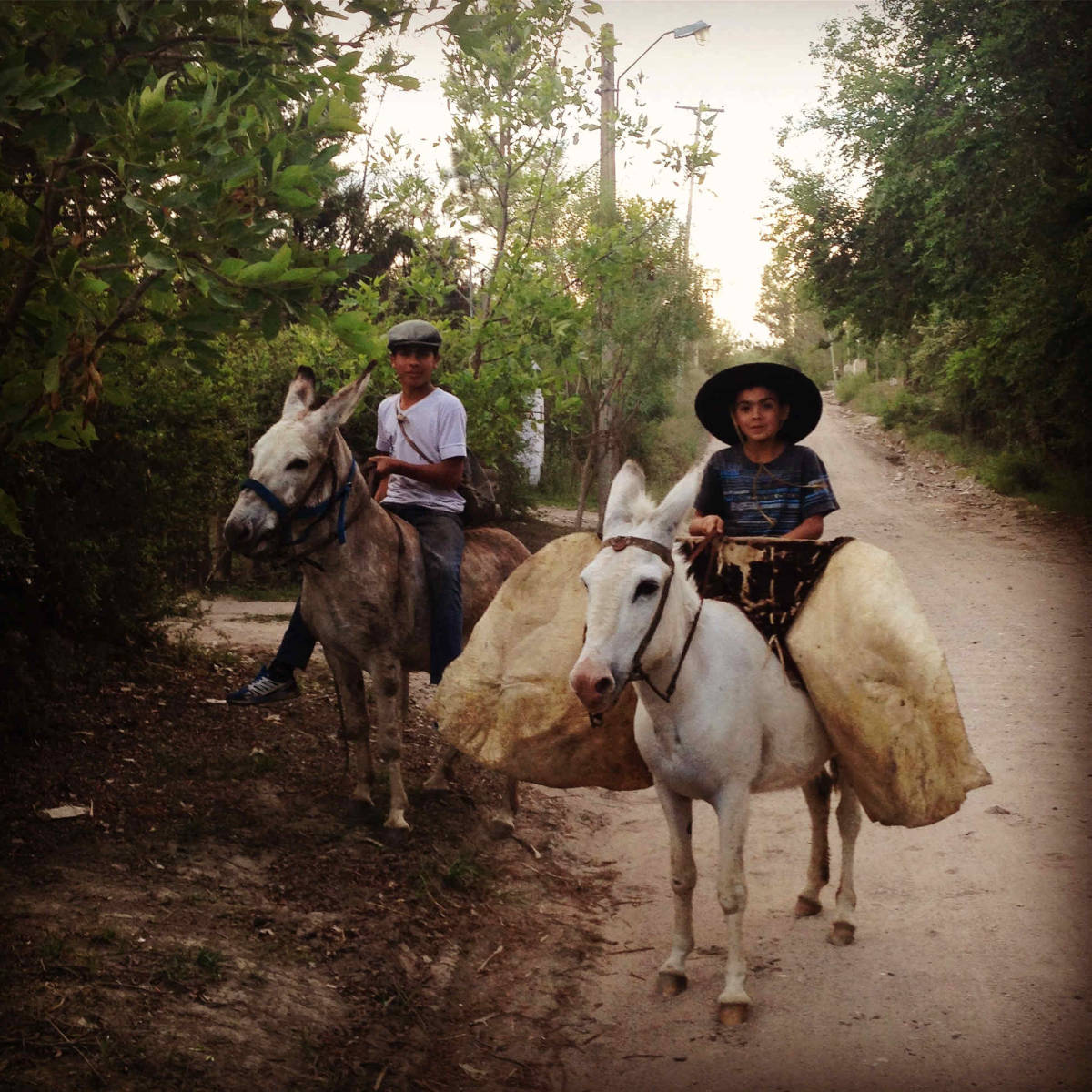 Two boys on mules in rural Argentina, where Transient Books is located.