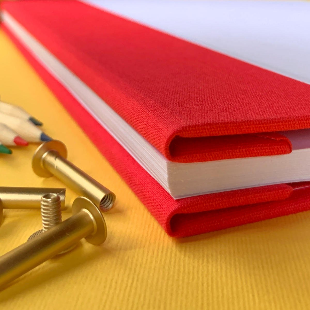 Close-up of a handmade travel scrapbook with removable pages, featuring an inverted spine and brass screw posts.