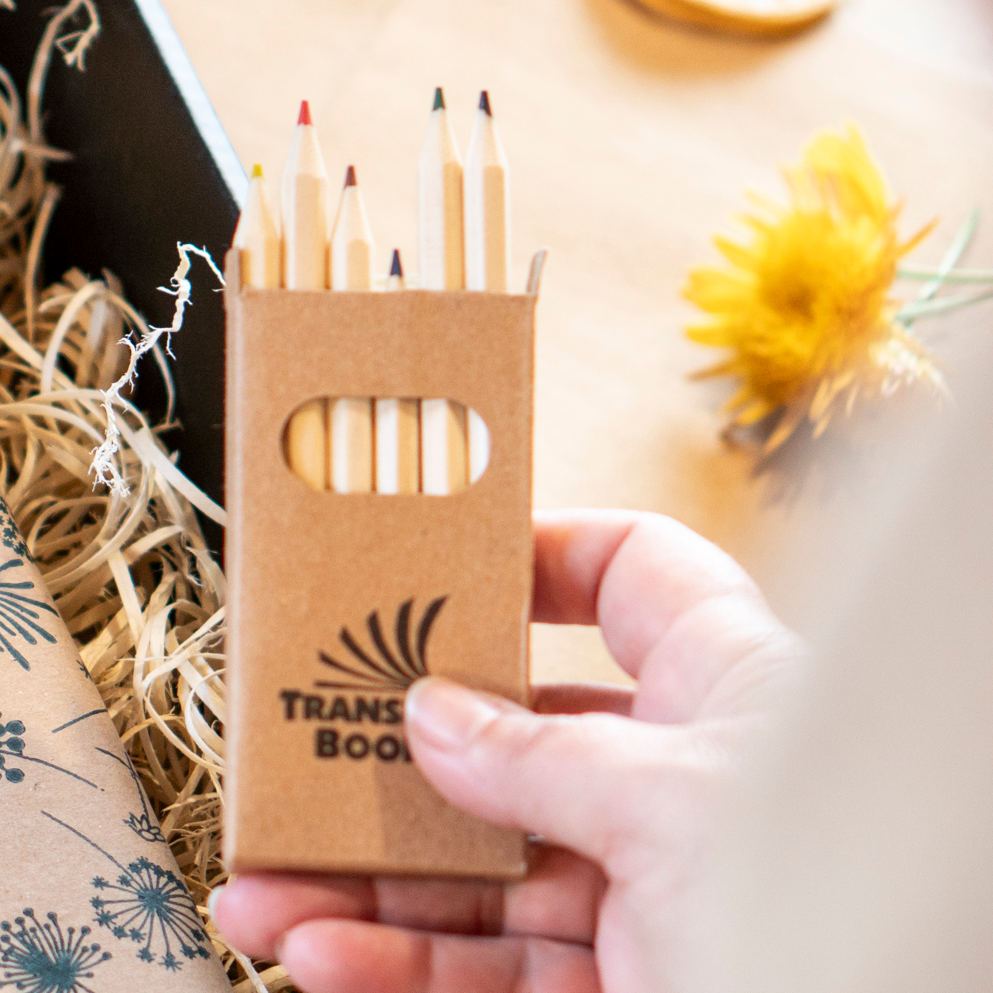 Hand held set of colored pencils from Transient Books, used in their gift boxes for personalized travel journals.