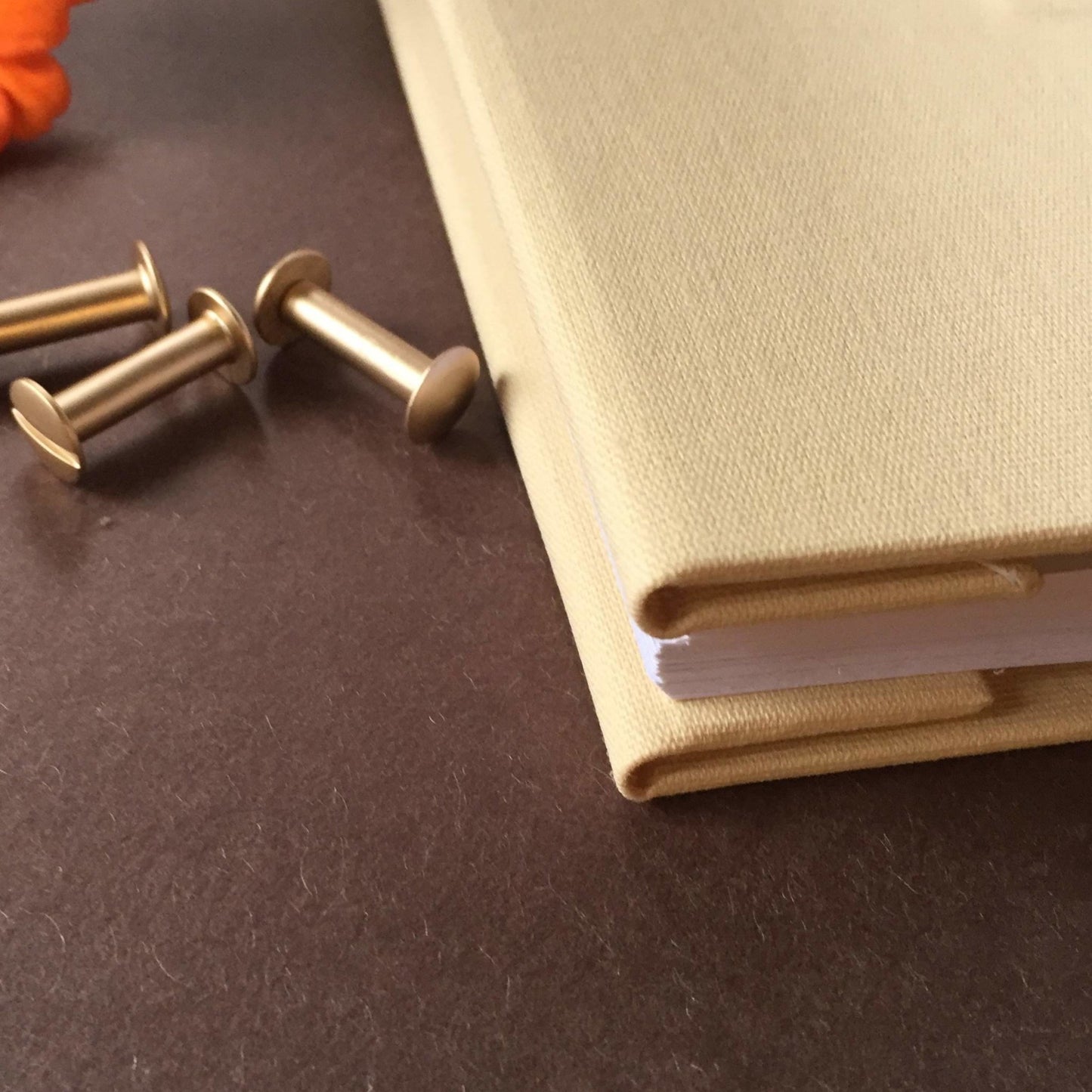 Close-up of hand-crafted binder spine with visible brass screwposts, showcasing high-quality, customizable construction.