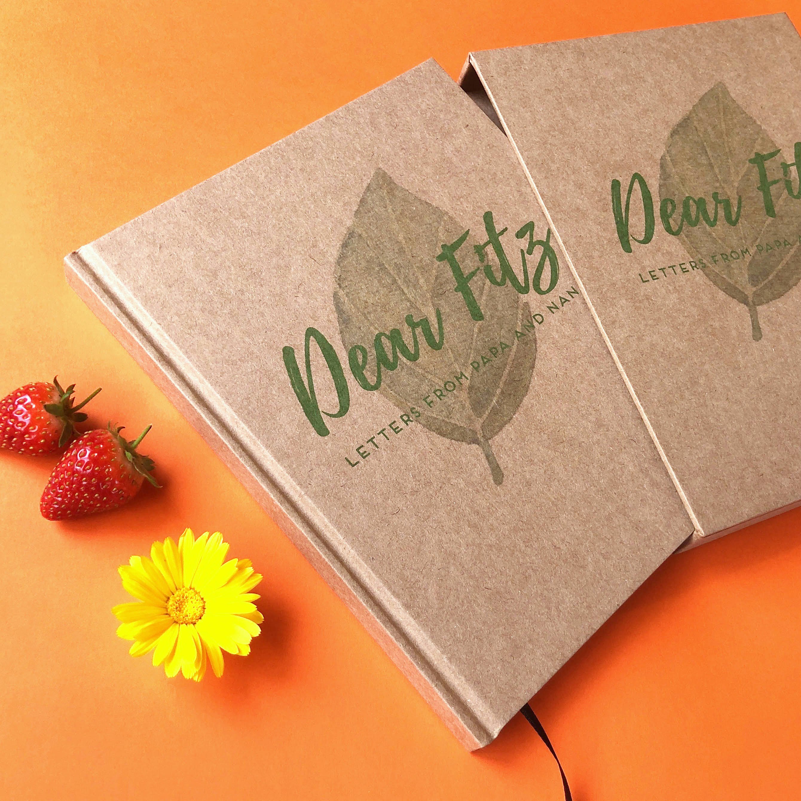 Personalized pregnancy journal in book slipcase. Hardback, handcrafted new mom gift with custom cover design and text.