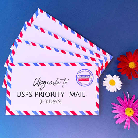 Shipping Upgrade: USPS Priority Mail (1-3 business days) - Transient Books